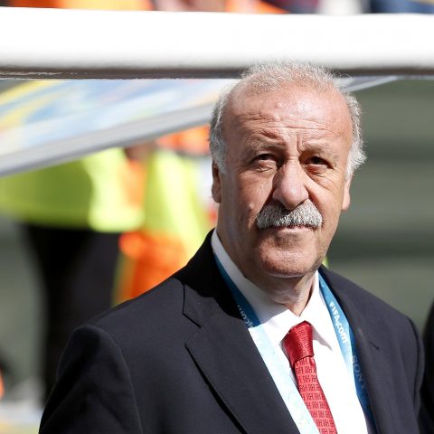 Vicente del Bosque