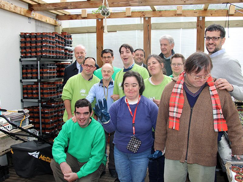 invernadero-husqvarna-down-madrid-02